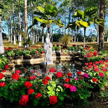 Je T'Aime Villa - Khu Nghi Duong Nha Vuon Nam Giua Thien Nhien Bao La Hoa Co Bảo Lộc Kültér fotó
