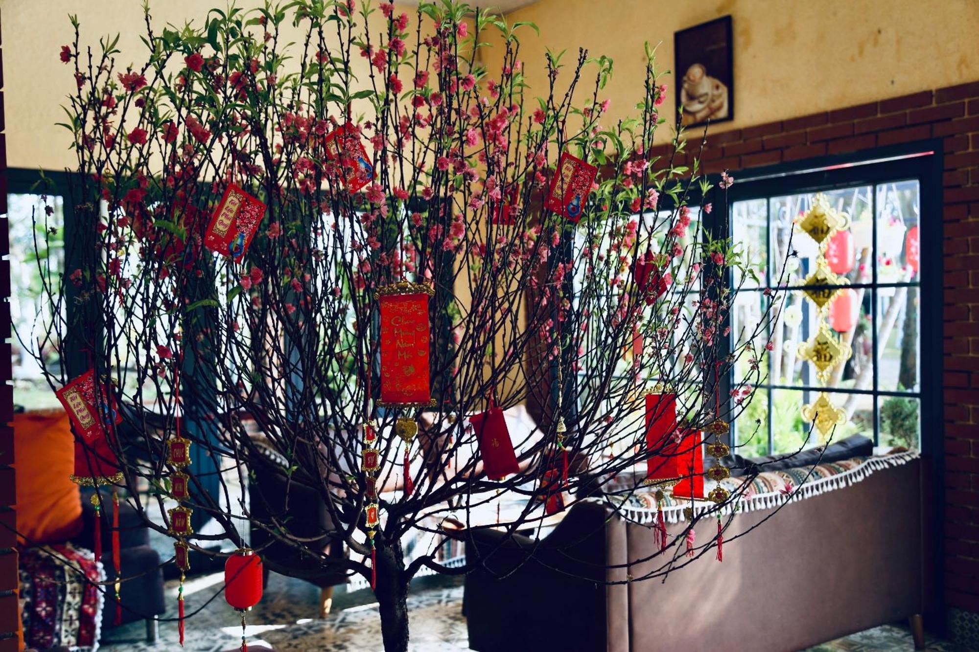 Je T'Aime Villa - Khu Nghi Duong Nha Vuon Nam Giua Thien Nhien Bao La Hoa Co Bảo Lộc Kültér fotó