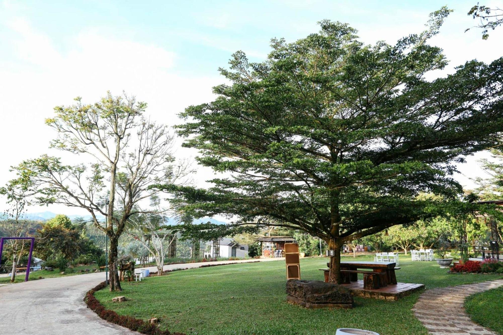 Je T'Aime Villa - Khu Nghi Duong Nha Vuon Nam Giua Thien Nhien Bao La Hoa Co Bảo Lộc Kültér fotó