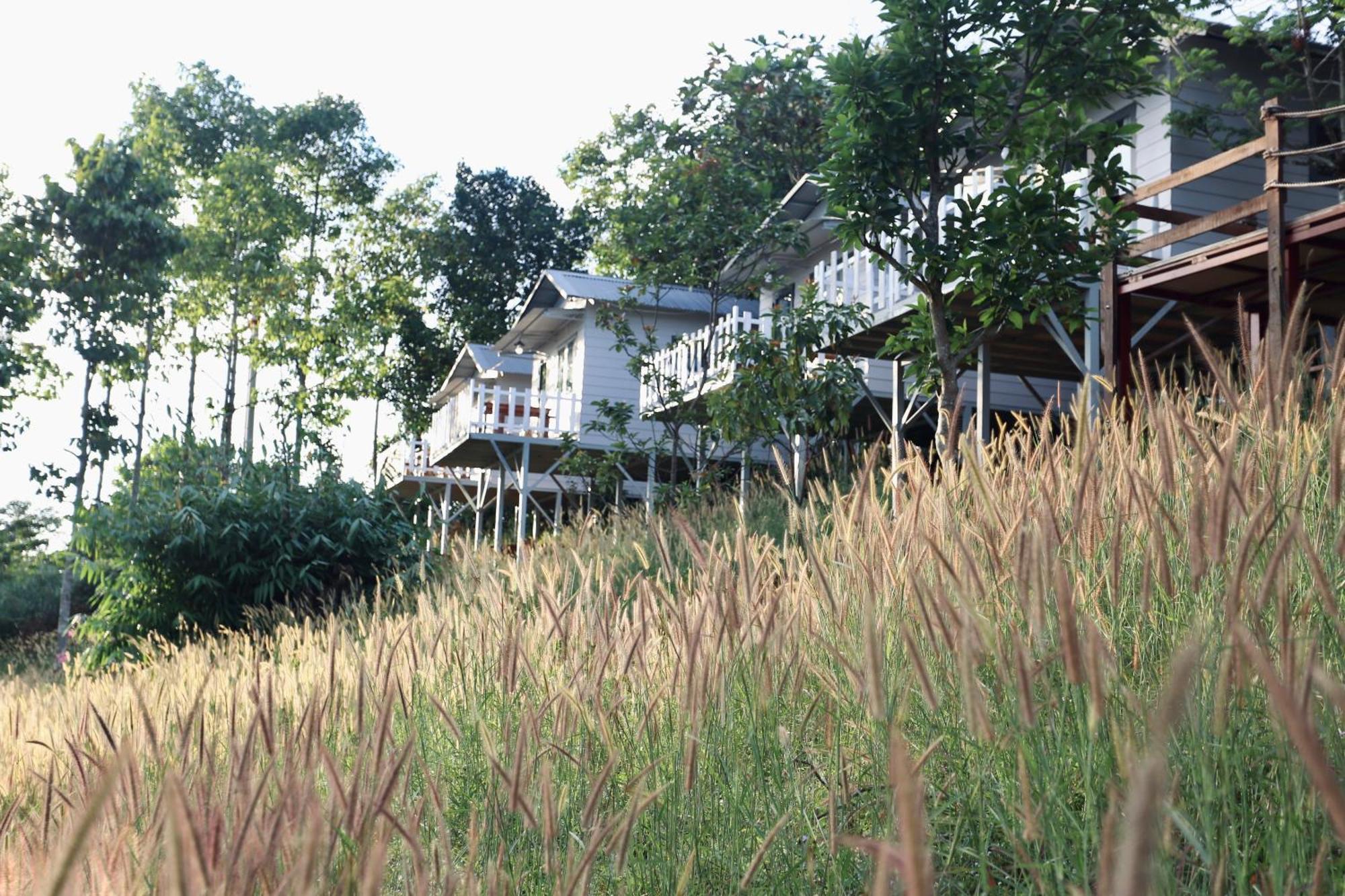 Je T'Aime Villa - Khu Nghi Duong Nha Vuon Nam Giua Thien Nhien Bao La Hoa Co Bảo Lộc Kültér fotó
