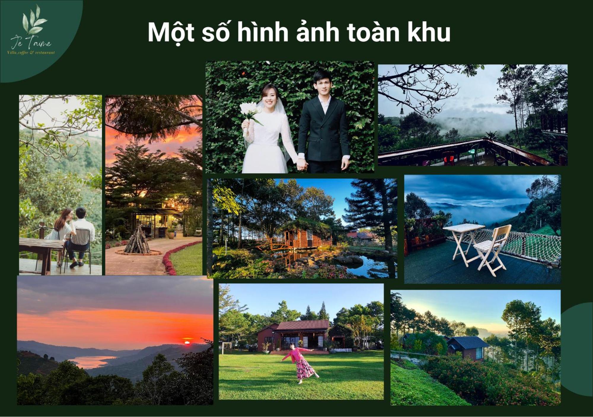 Je T'Aime Villa - Khu Nghi Duong Nha Vuon Nam Giua Thien Nhien Bao La Hoa Co Bảo Lộc Kültér fotó